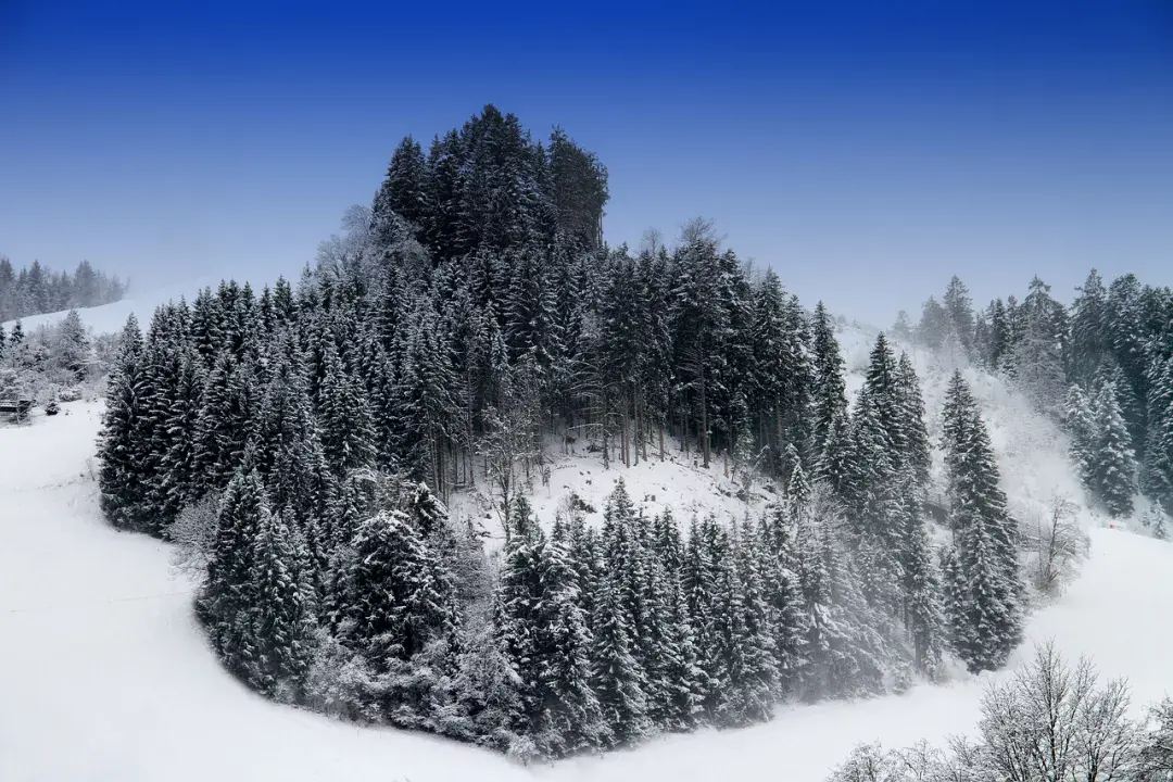 Zell am See, Ausztria: 4 napos síutazás