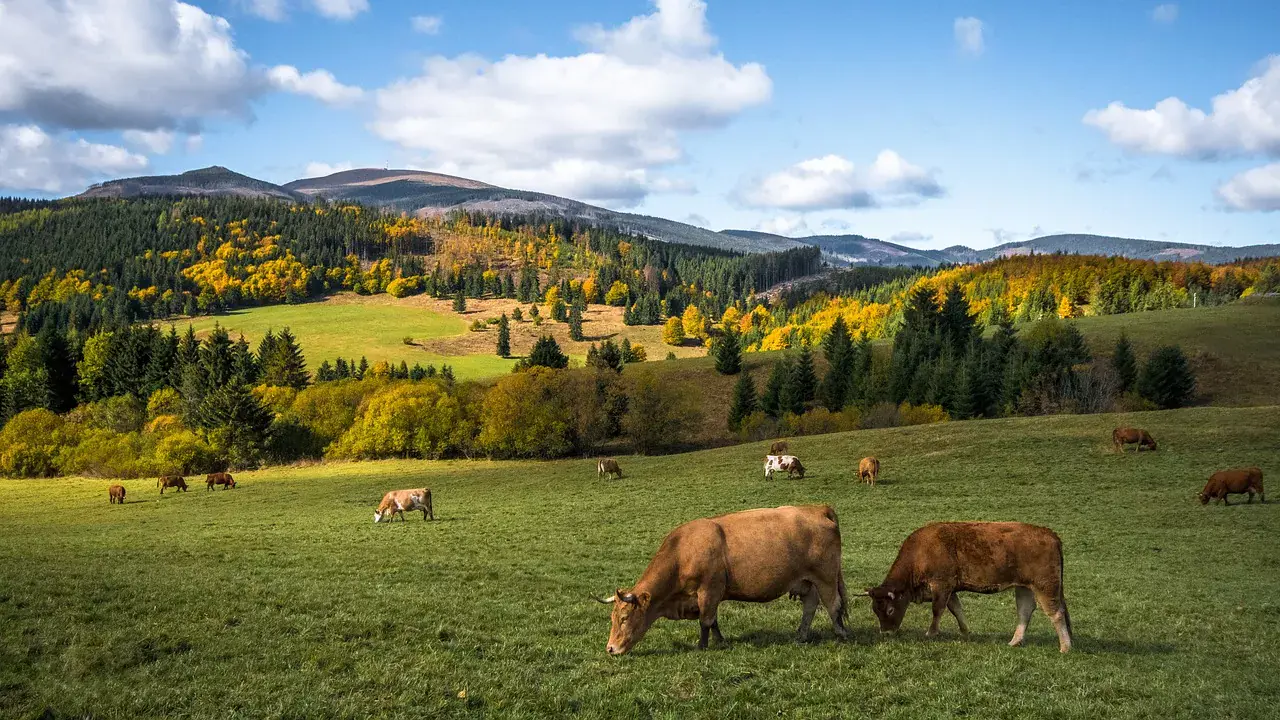 7 napos autós túra Szlovákiában - útvonaltervvel