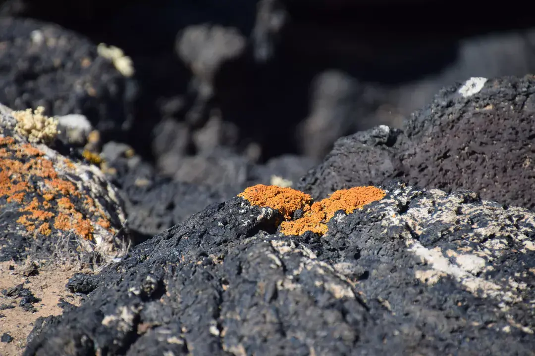 Ajaches Természetvédelmi Terület, Lanzarote