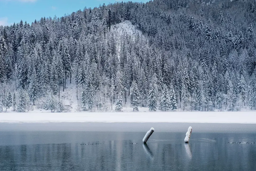 Bledi-tó / Straža Bled