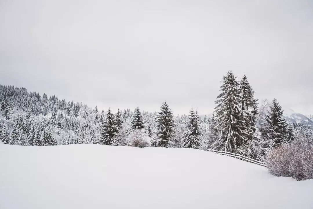 Bovec-Kanin / Sella Nevea