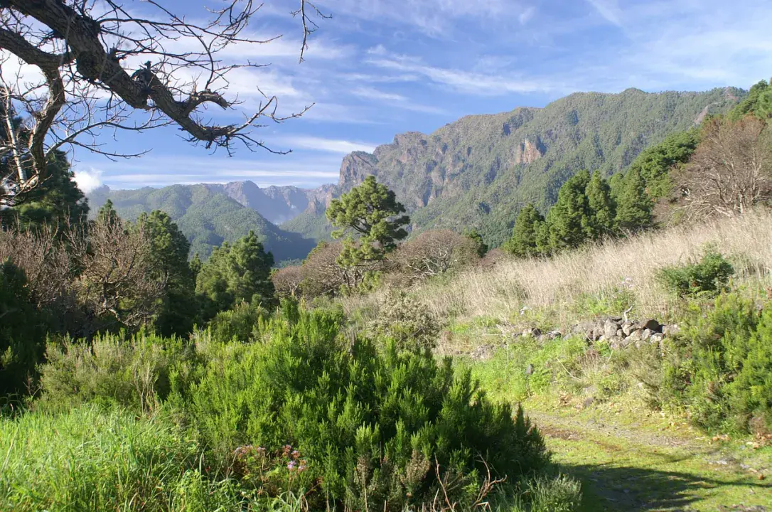 Caldera de Taburiente Nemzeti Park