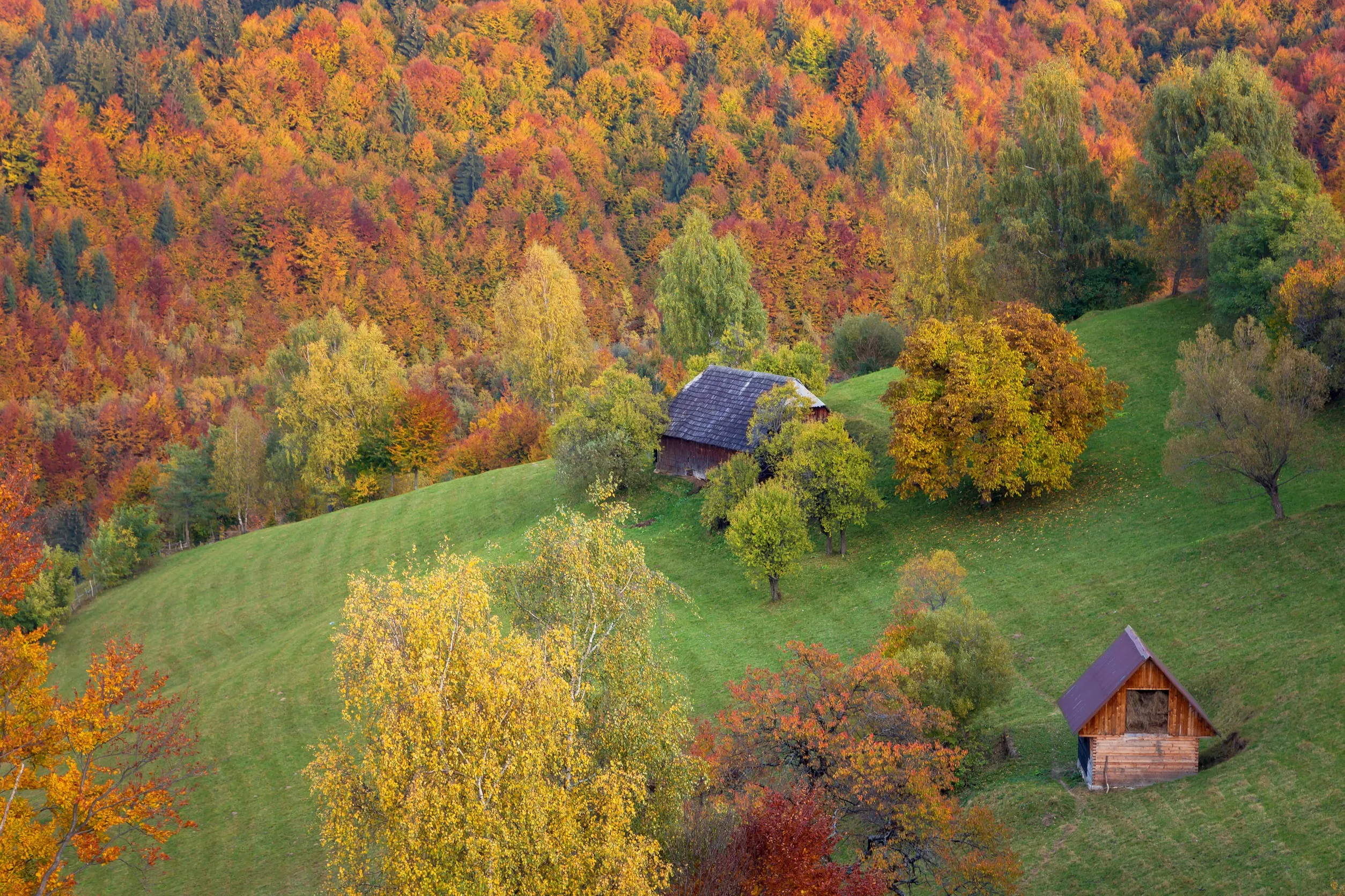 Erdélyi kalandozások 5 nap/ 4 éjszaka repjeggyel és szállással 34.480 Ft