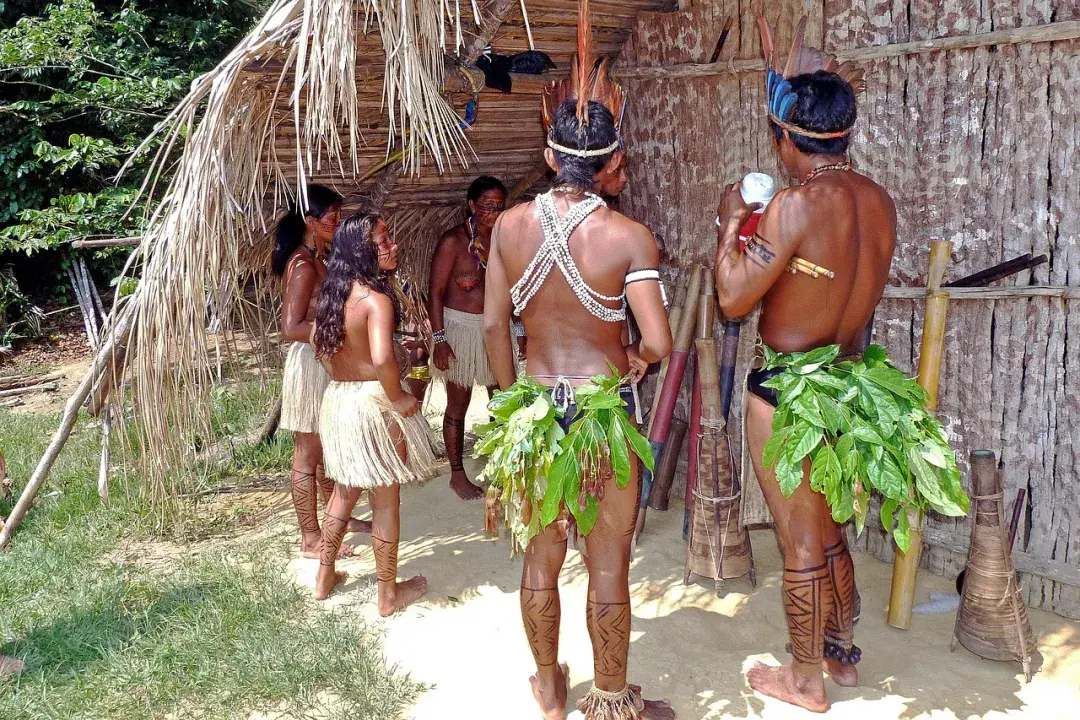 Expedíció az Amazonas őserdőjében