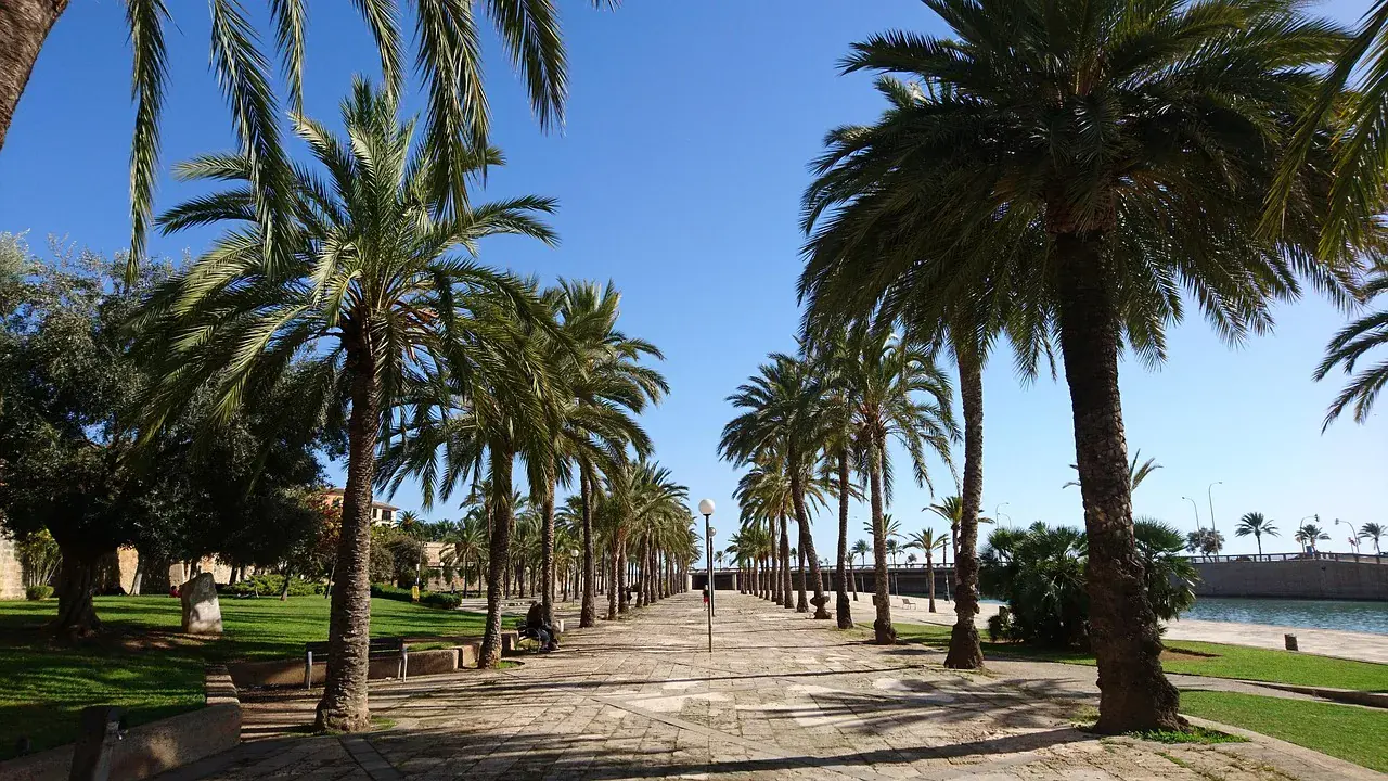 Ezért nem kell Mallorcára sokat spórolnod