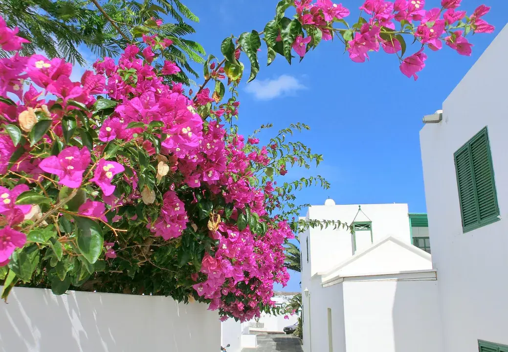 Lanzarote - ha az az érzésed, hogy a tengerben fogtok landolni