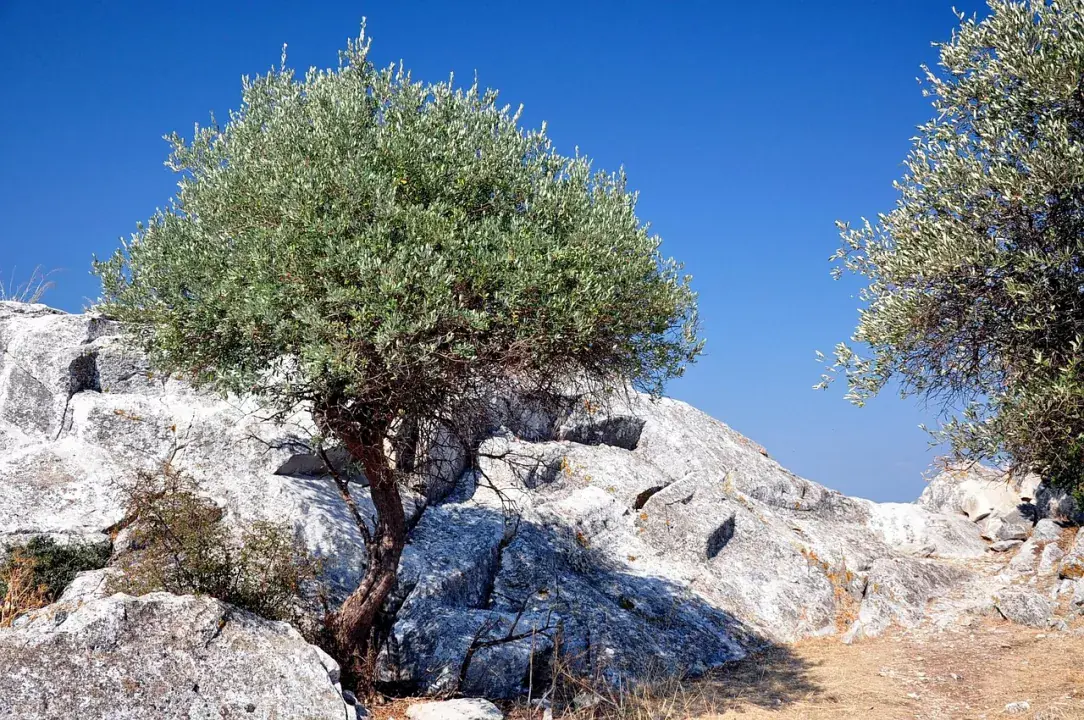 Limenás, Thassos sziget