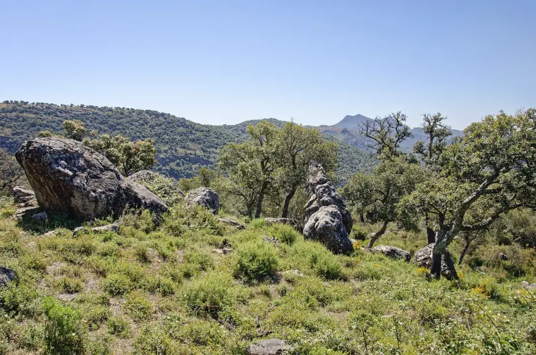 Los Alcornocales Természeti Park, Andalúzia