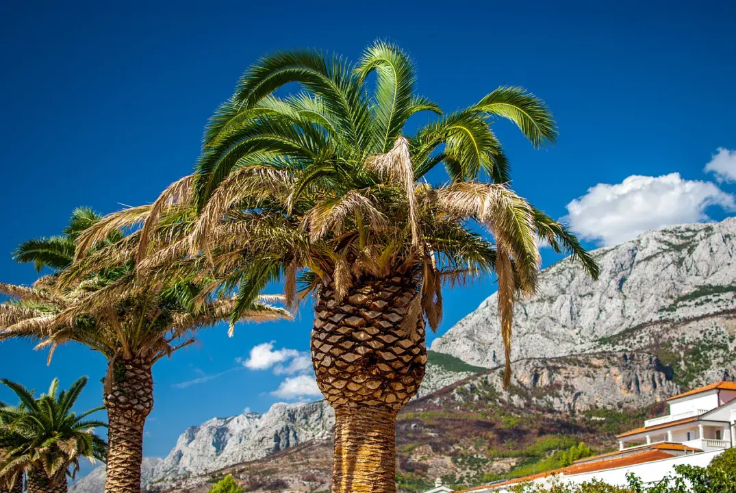 Makarska a hazai utazók szemével