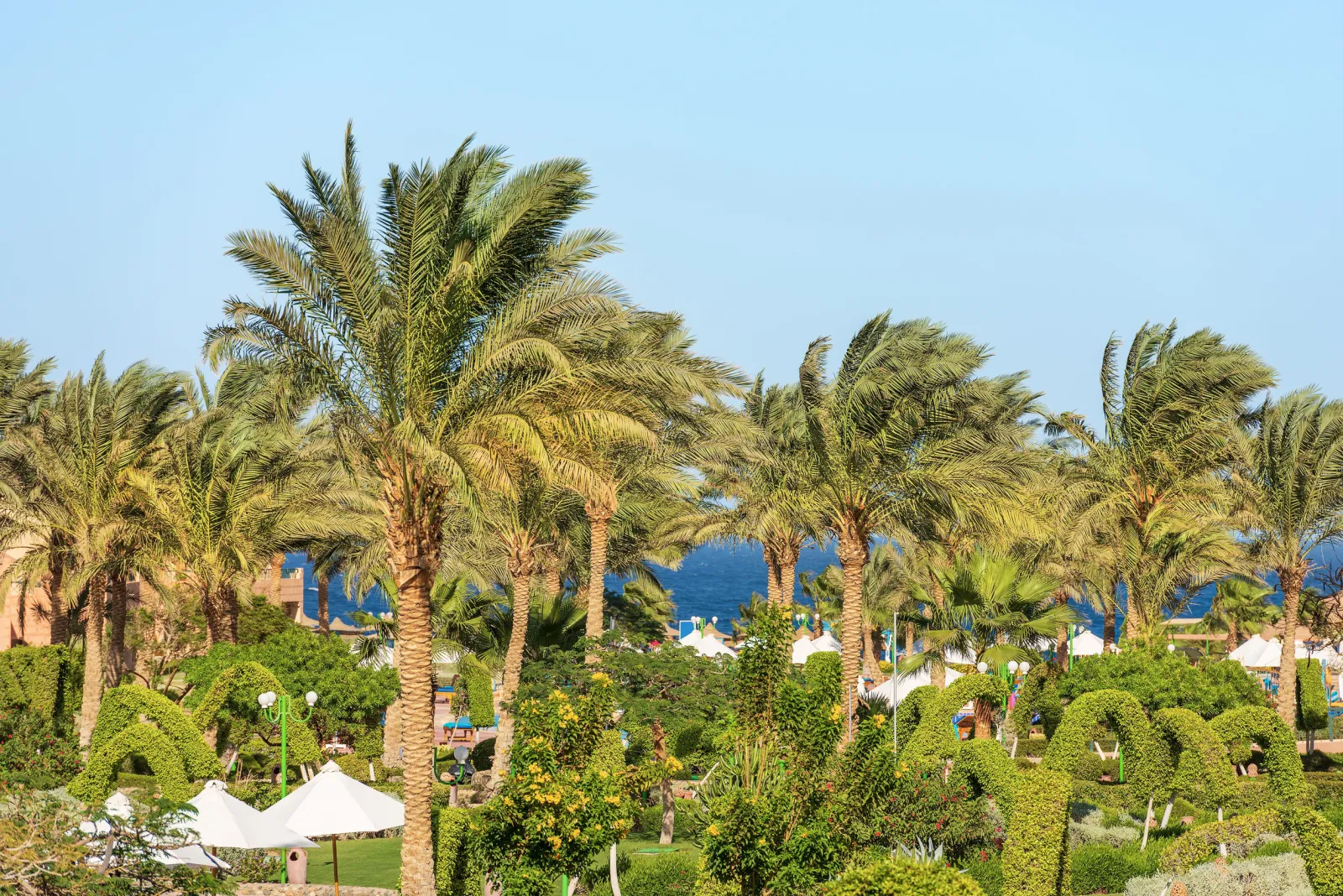 Marsa Alam 6 nap/5 éjszaka repjeggyel+4 csillagos szállással és all inclusive ellátással 88.207 Ft/fő