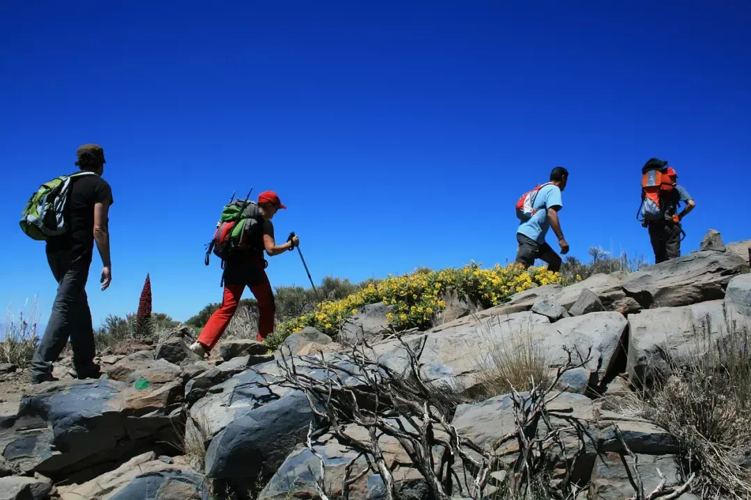 Teide Nemzeti Park -belépőjegy árak 2024-ben