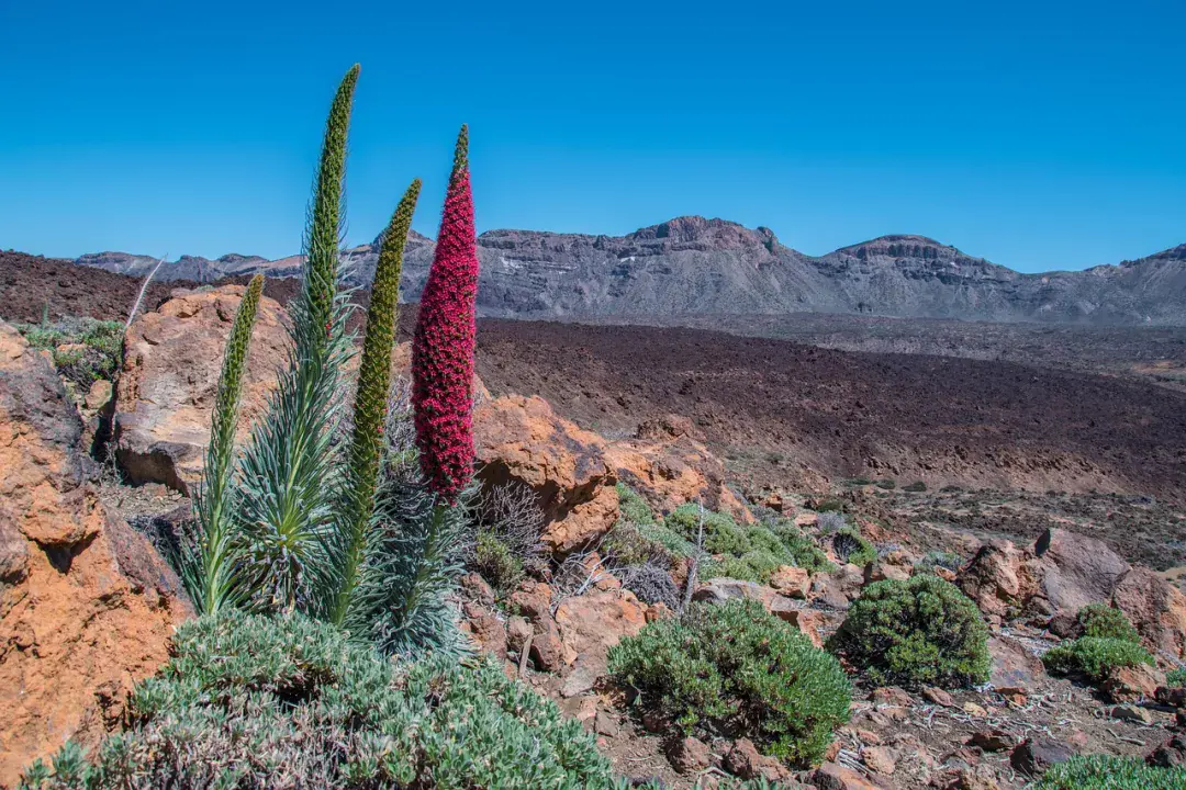 Tenerife 2 keréken - TOP 5 kerékpáros túraútvonal Tenerifén