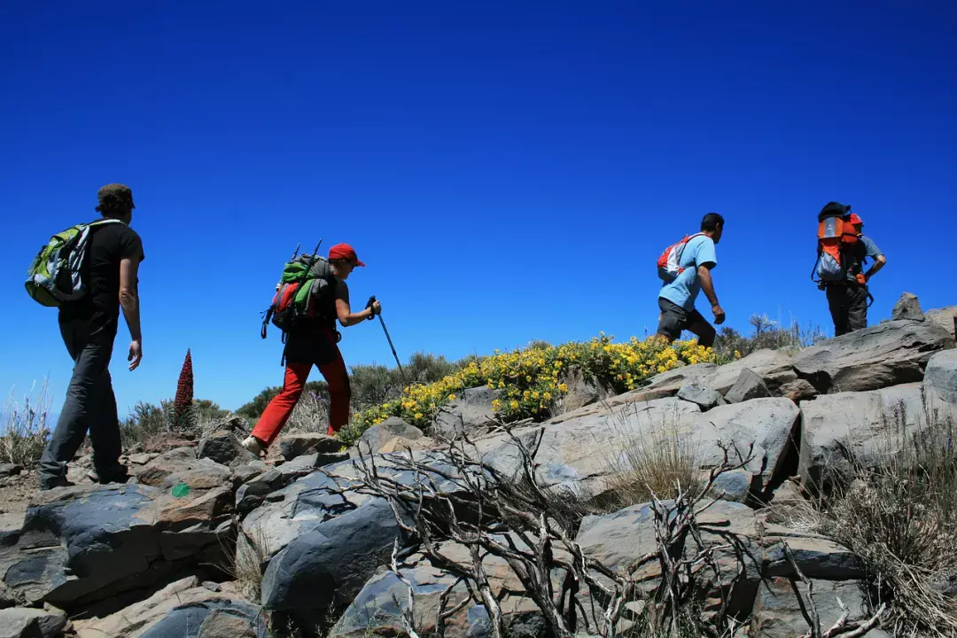 Tenerife TOP túraútvonalai, kirándulóhelyei
