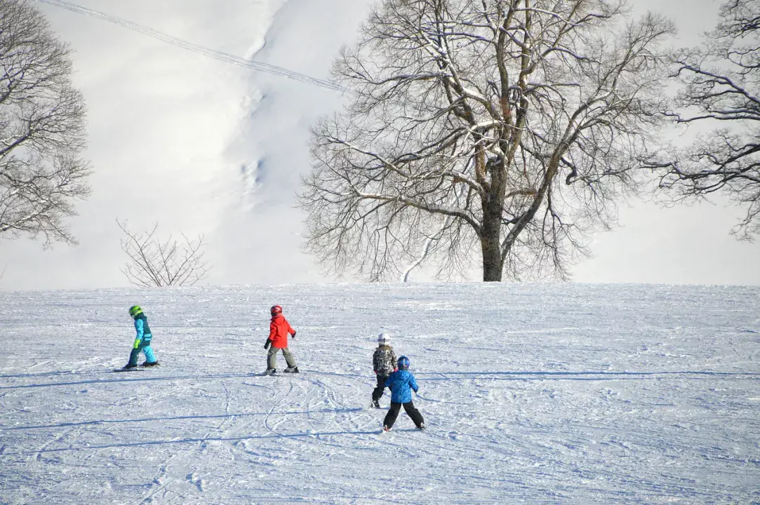 TOP 10 legkedveltebb síparadicsom Szlovákiában